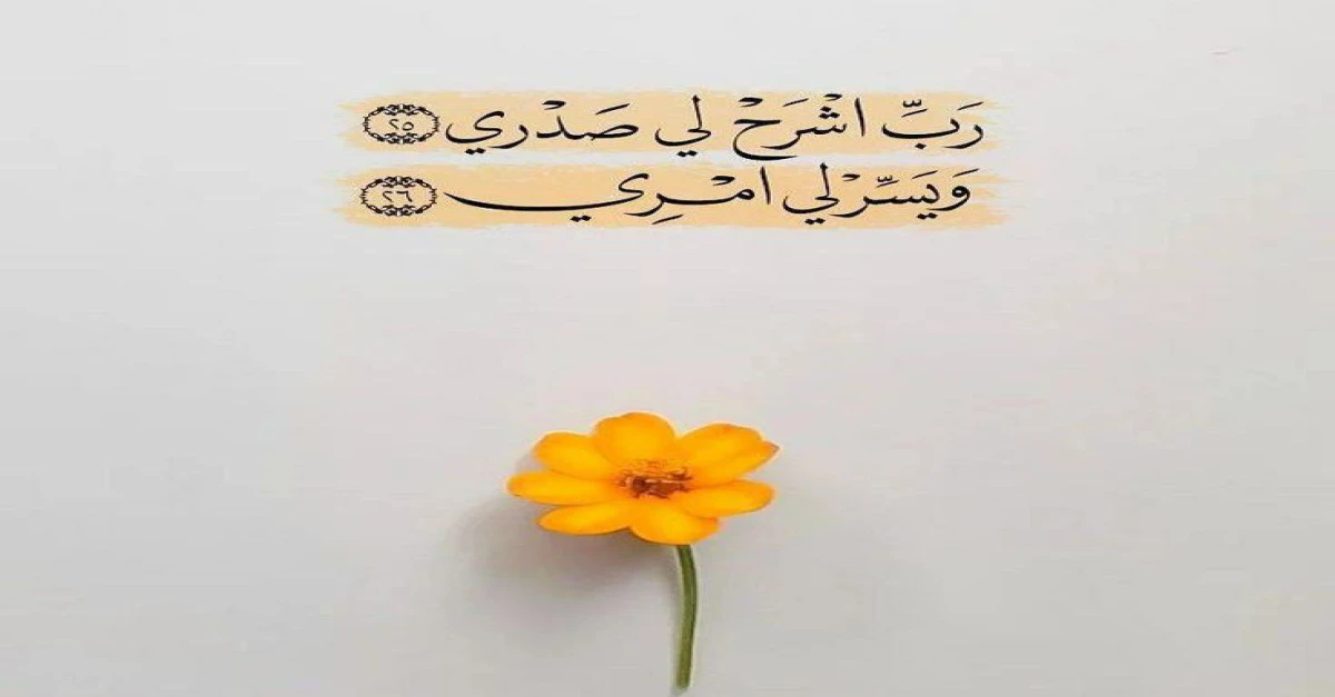رب اشرح لي صدري ويسر لي امري