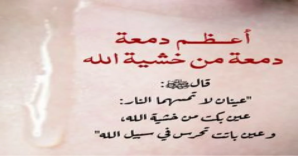 ماهما العينان اللتان لا تمسهما النار ؟